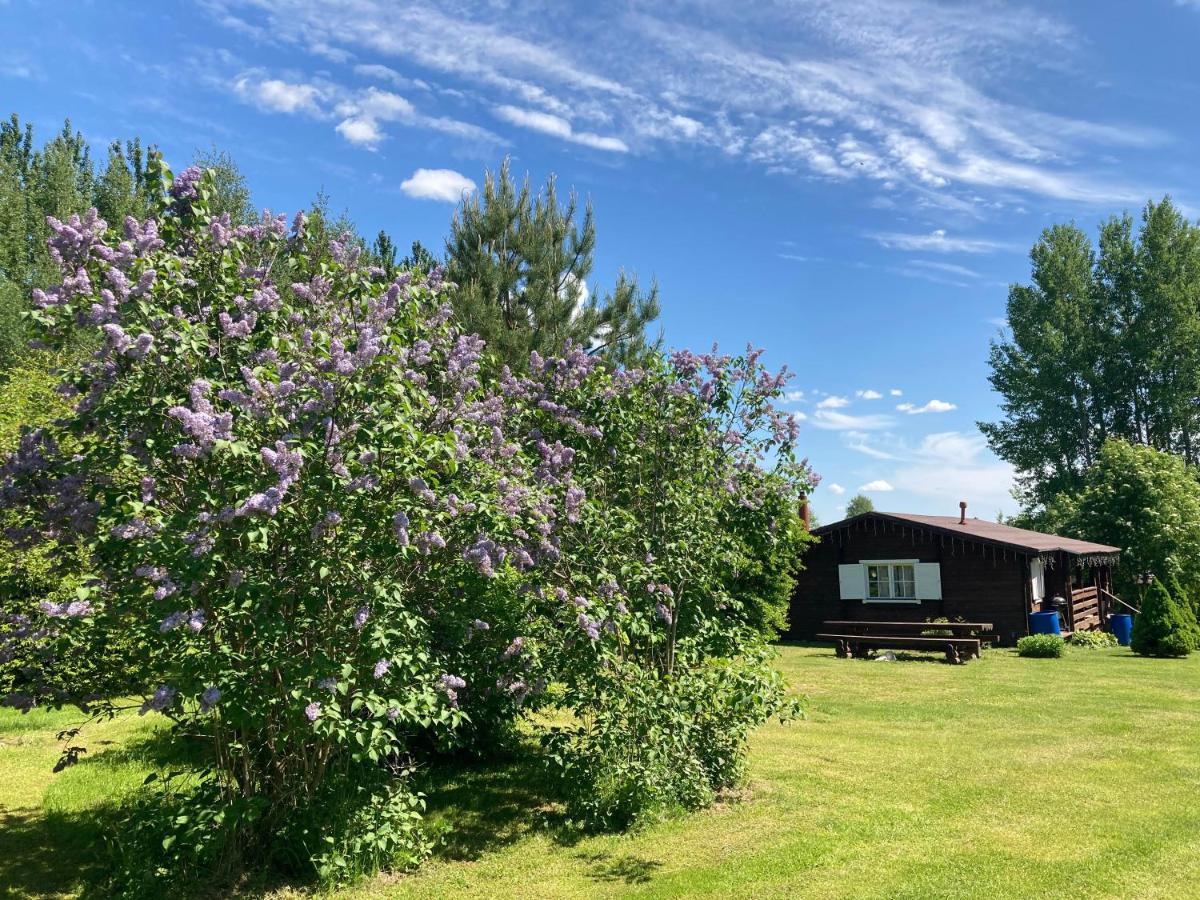 Pikkjaerve Puhkemaja Villa Tilsi Exterior photo